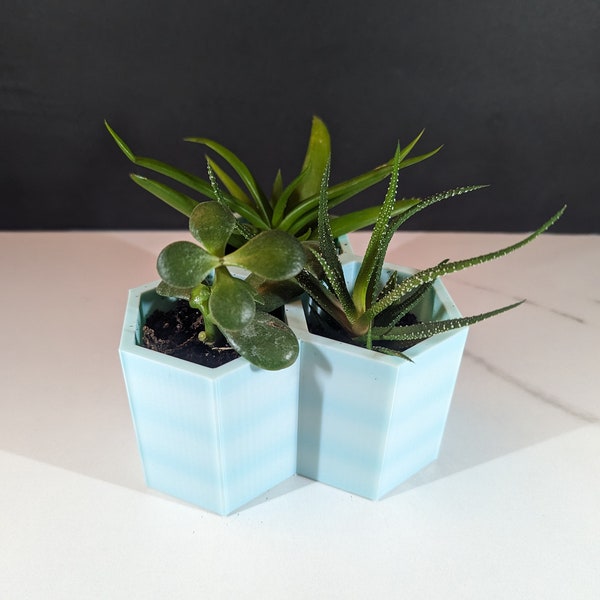 Hexagonal Succulent Holder - 3-Pot Stand - Eco-Friendly - Indoor Plant Décor - Modern Home Accessory - Perfect for Cacti and Small Plants
