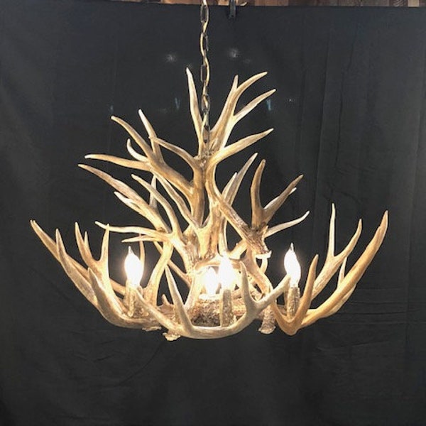 Mule Deer antler chandelier