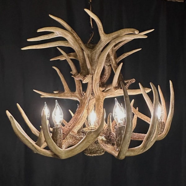 Whitetail Antler Chandelier Etsy