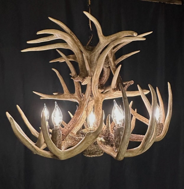 Whitetail deer antler chandelier deals