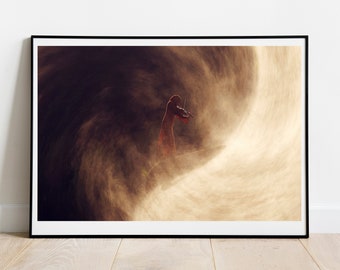 Fine art photography "Tsunami" Sebastian Luczywo / Fine art / 50x70, 40x50, 30x40 cm / conceptual photography /