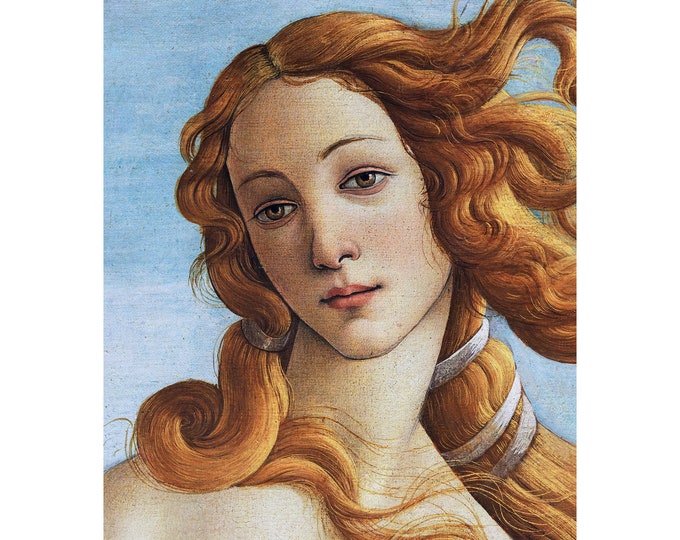 Sandro Botticelli the Birth of Venus Framed Canvas - Etsy