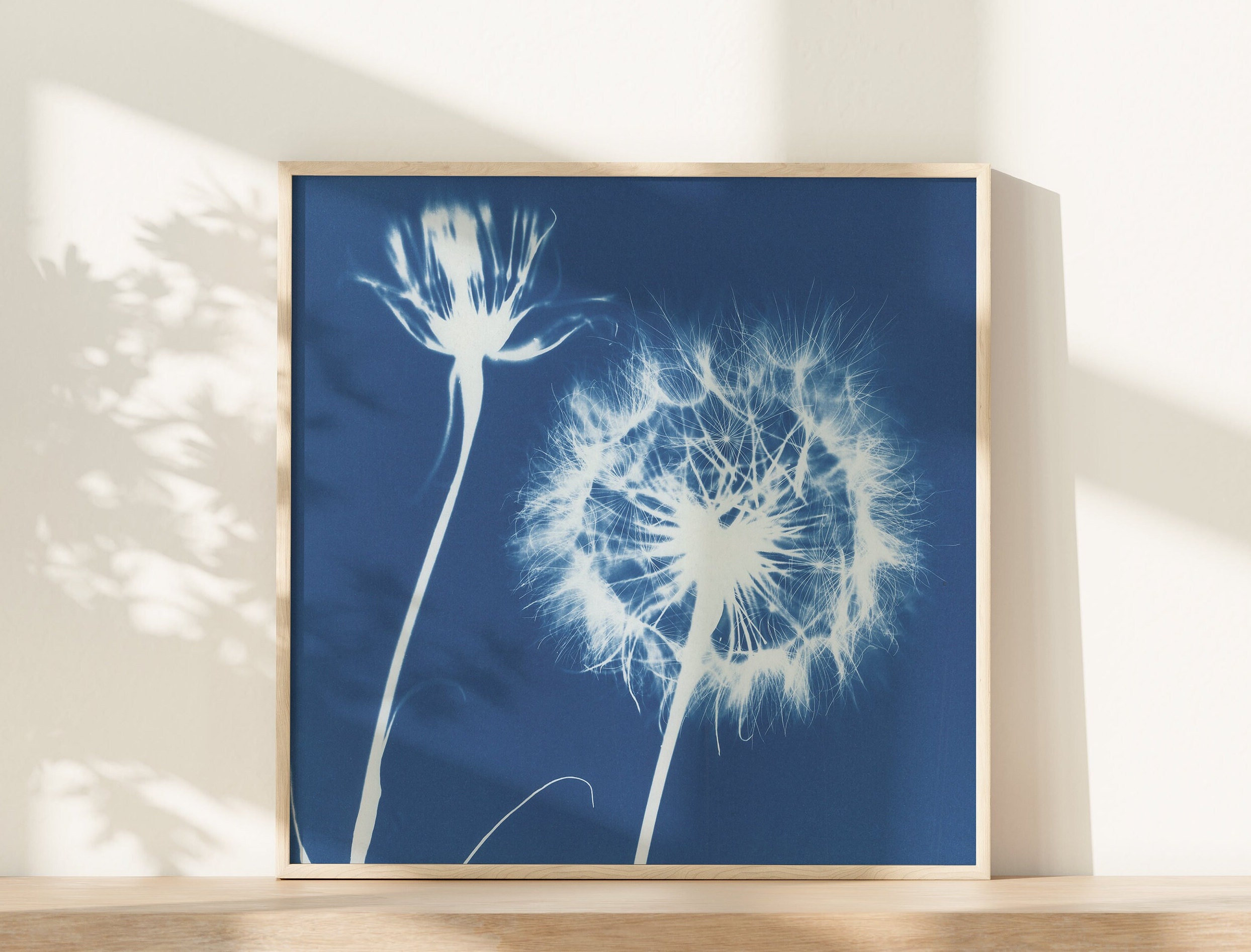 Blue Dandelion Print: Nature Inspired Gift, Botanical Office Decor