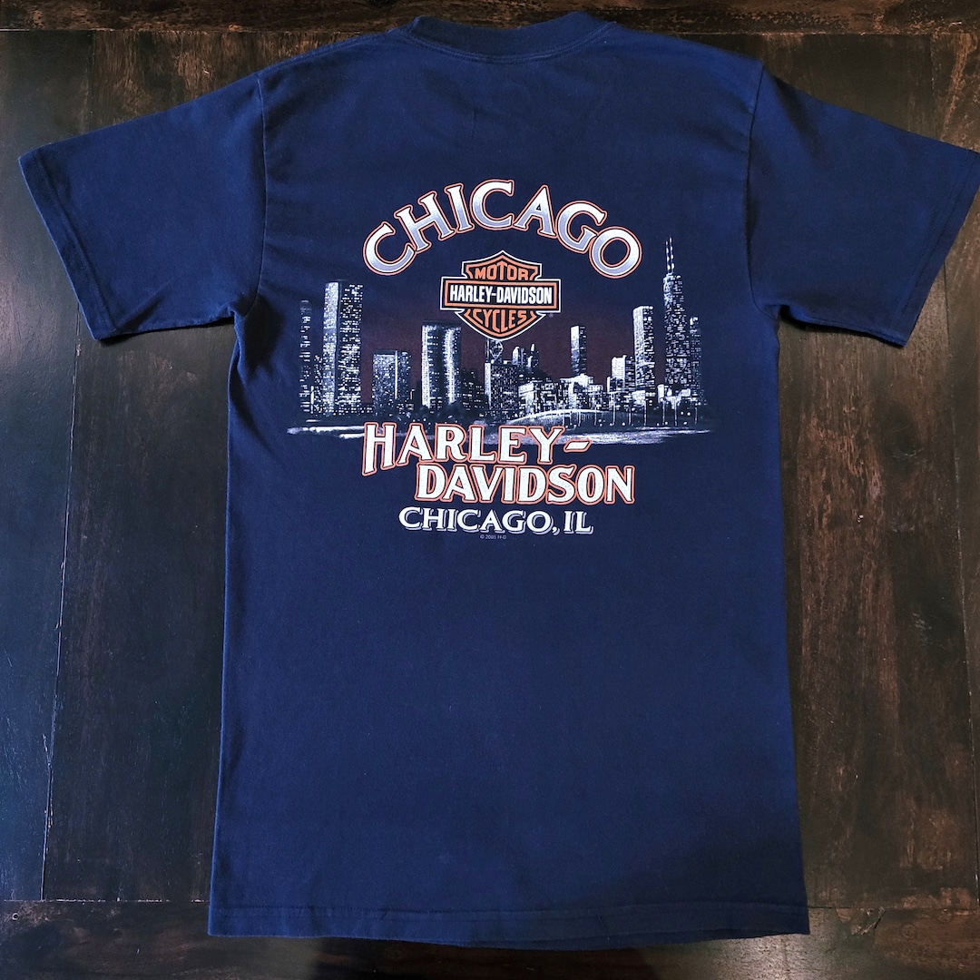 Harley-Davidson Tシャツ L size MADE IN USA VINTAGE HARLEY DAVIDSON FATBOY FORT WORTH TEXAS 2002 TEE