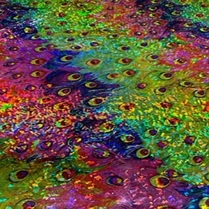 Peacock Digital Print Fabric with Hologram Fabric on 4 Way Polyester Spandex | Spandex Palace