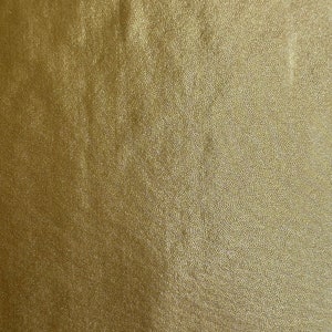 Dull Foggy Foil 4 Way Stretch Nylon Spandex Fabric | Spandex Palace