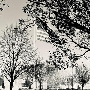 Old Glory