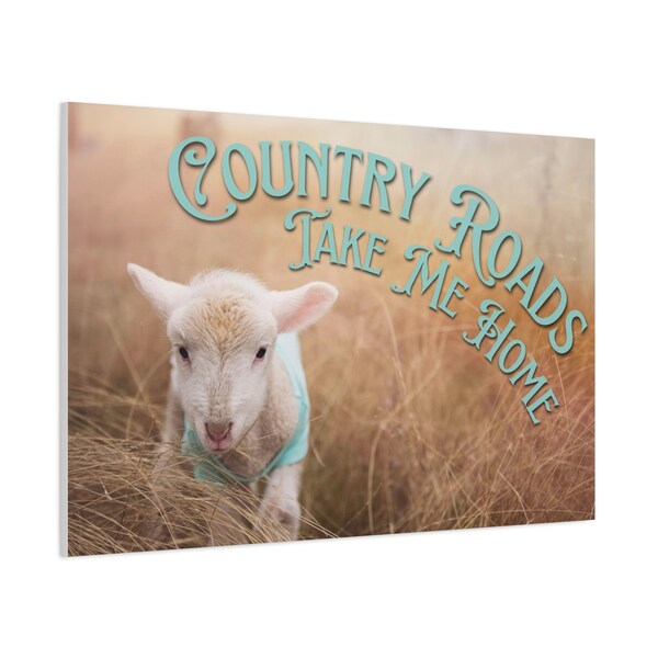 Country Roads Baby Lamb Canvas | Sheep Picture | Country Living | Modern Farmhouse Decor | Farmhouse Wall Decor | Animals Painting