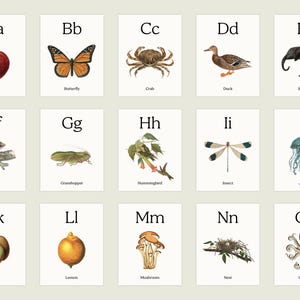 Cartões de alfabeto da natureza para crianças – Cartões do alfabeto com base em fonética – Cartões educativos Montessori – Tema da natureza de A a Z (download digital)