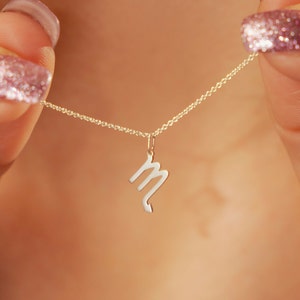 925 Sterling Zilver Goud Gevulde 18K Rhodium Plated Mini Hanger Ketting Met Jouw Sterrenbeeld Gepersonaliseerd cadeau voor haar Astrologie geschenk Silver