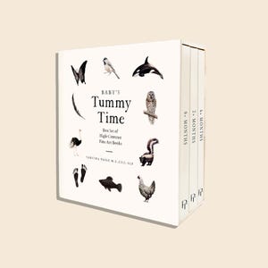 This box set is meant to be functional for your child's many different learning needs as well as versatile for any space. The unique accordion-style format is perfect for tummy time, allowing your child to unfold the pages and stare and play with them, either with you or on their own.