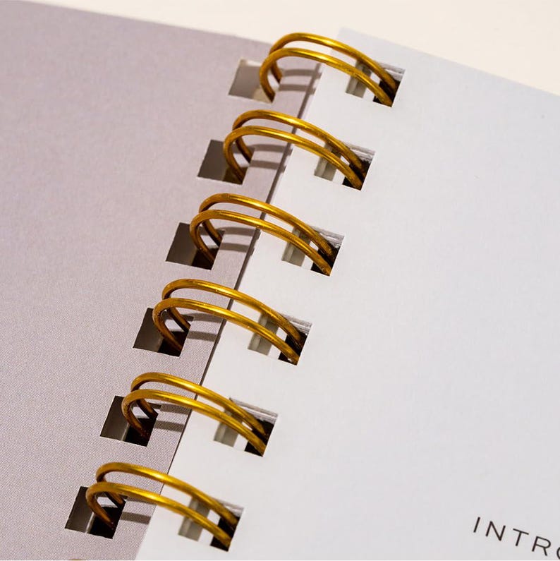 Peut inclure: Gros plan sur un carnet &agrave; spirales avec une reliure m&eacute;tallique dor&eacute;e. Les pages sont blanches et grises, avec le mot "INTRO" visible. Le carnet est ouvert, montrant la reliure en spirale.