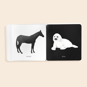 May include: A black and white illustrated book with two pages showing a black silhouette of a horse on a white background and a white seal on a black background. The words "Horse" and "Seal" are printed below each image.
