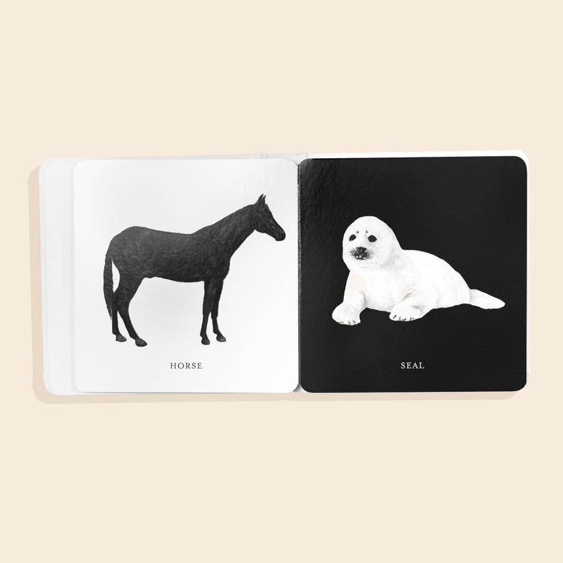 May include: A black and white illustrated book with two pages showing a black silhouette of a horse on a white background and a white seal on a black background. The words "Horse" and "Seal" are printed below each image.