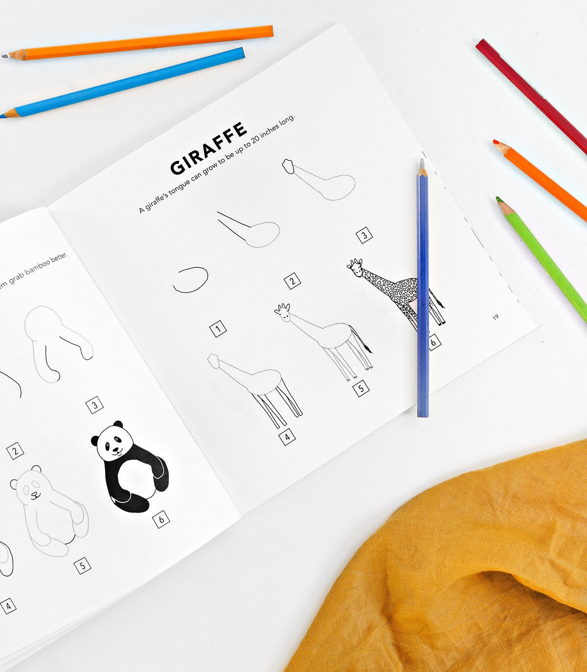 How to Draw Animals: Step-by-step Drawing Book for Kids - Etsy