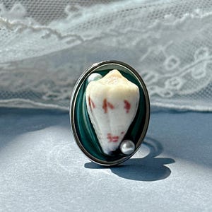 Real Seashell Statement Ring, Chunky Natural Shell Ring, Beach Vibes ...