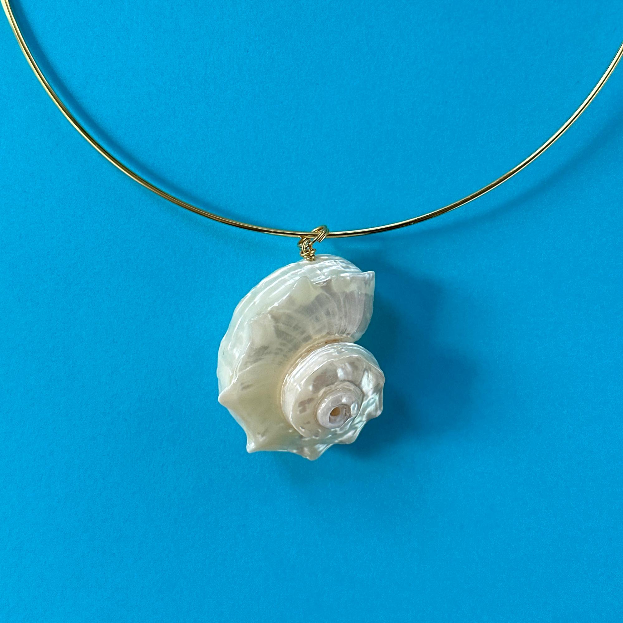 Real Shell Collar Necklace • Minimalist Seashell Pendant Necklace ...