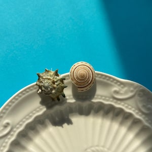 Natural Shell Asymmetrical Earrings, Real Seashell Studs, Cute Mismatched Studs, Boho Chic Beachy Earring Studs, Unique Ocean Studs