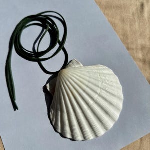 Peut inclure: Un pendentif en forme de coquille Saint-Jacques blanche avec un collier en cordon vert foncé. La coquille a une texture striée et repose sur une surface blanche. Le cordon est bouclé.