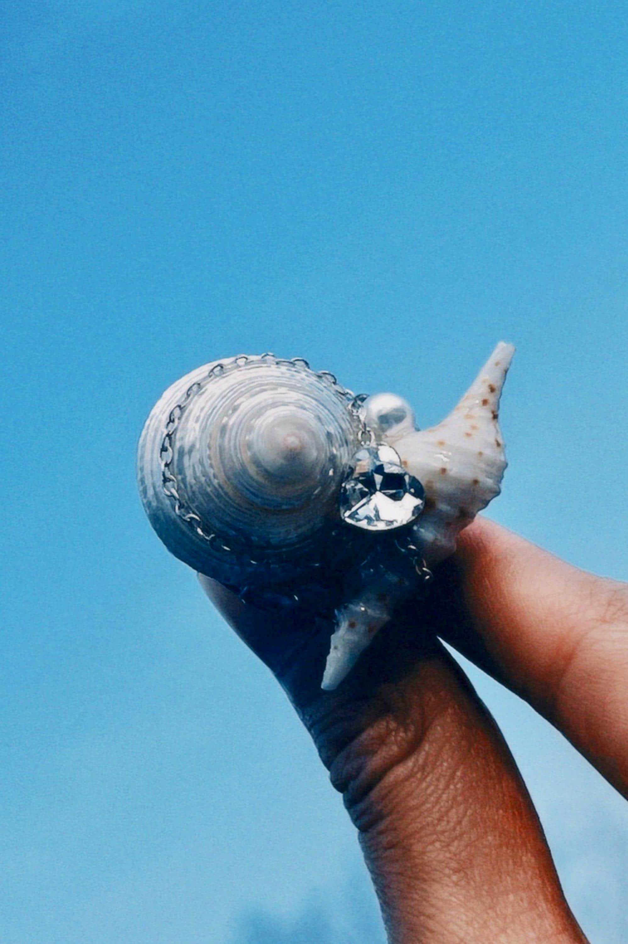 Mermaidcore Seashell Ring • One-of-a-kind Unique Shell Jewelry • Gifts ...