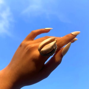 May include: A distinctive ring with a natural seashell set in a silver-toned metal band. The ring features a cream-coloured shell with a textured surface, set against a bright blue sky background. The ring is a statement piece of jewellery.