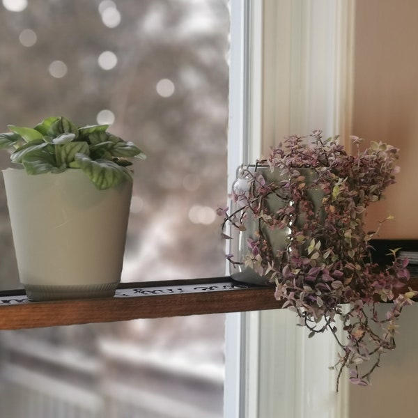 Rotating Window Plant Shelf Etsy