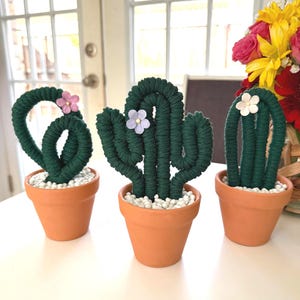 Pode incluir: Três esculturas de cactos artesanais em vasos de terracota. Os cactos são feitos de fio verde escuro e adornados com pequenas flores de tecido coloridas. Os vasos são preenchidos com seixos brancos, criando um visual decorativo e natural.