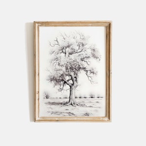 Tree Sketch Wall Art, Vintage Tree Sketch, Antique Tree Drawing, Farmhouse Drawing Print, Tree Drawing Printable, Neutral Wall Art