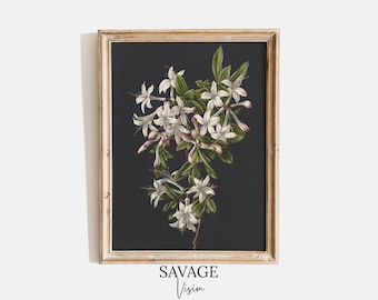 Vintage Azalea Botanical Print, 19th Century Floral Art (Digital Download)