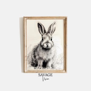 Vintage Rabbit Drawing, Antique Rabbit Sketch, Antique Bunny Print, Vintage Rabbit Painting, Black & White Drawing, Nursery Decor