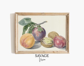 Antique Fruit Botanical Print, Still Life With Fruits Painting, Kitchen Wall Art (Digital Download)