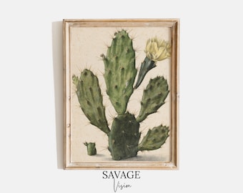 Vintage Cactus Flower Painting, Botanical Print (Digital Art)