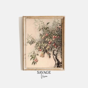 Vintage Apple Tree Etching Print, Neutral Farmhouse Decor (Digital Download)