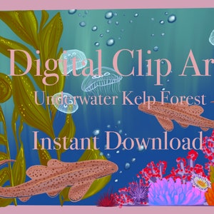 UNDERWATER KELP FOREST | Handdrawn Clip Art | Digital Instant Download .pdf, .psd, .jpeg