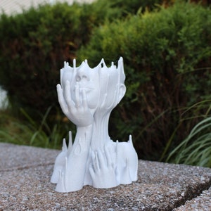Melting Face Succulent Planter: Unique Decorative Vase with Drainage