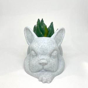 May include: White ceramic planter shaped like a French bulldog, with a green succulent plant inside.