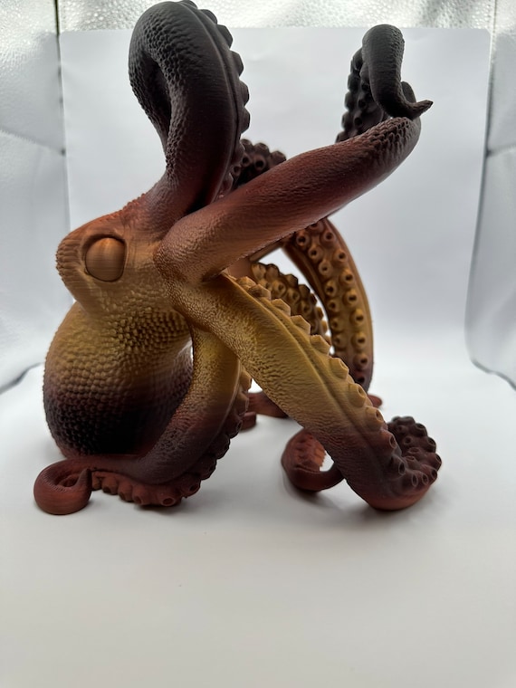 Octopus In Home Display
