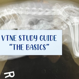 VTNE STUDY GUIDE - Basics