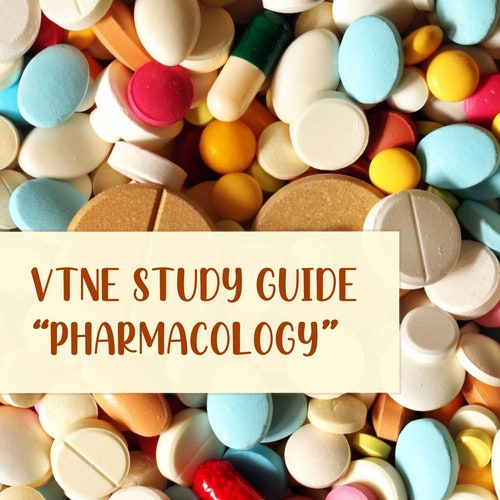 VTNE STUDY GUIDE Pharmacology Etsy