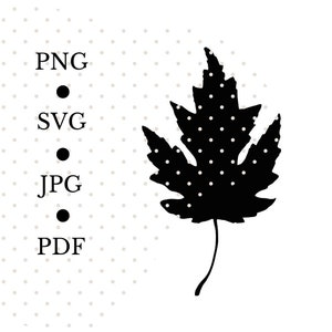 Fall Leaf SVG: Black Maple Leaf Clipart (Digital File)