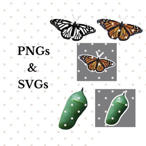 Monarch Butterfly SVG Sticker Bundle: Chrysalis Digital Files