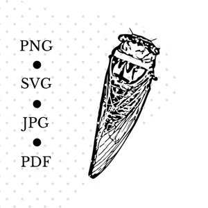 Cicada Digital File, Cicada Arts Crafts, Cicada SVG, Insect Digital File, Real Insect SVG, Cricut Print Cut File. Scrapbook SVG,