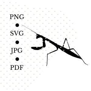Mantis Religiosa Archivo SVG Negro Sólido, Bichos de Jardín, Insecto de Jardín, Archivo Digital de Insectos, Insecto Mantis Religiosa, Good Garden Pest, Teacher Craft