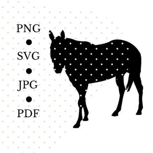 SVG-bestand paard, paard ambachten, Cricut-bestanden, dier digitaal bestand, rijpaard, boerderijpaard, afbeelding eenvoudig ambachtelijk paard, afbeelding paard, paard png