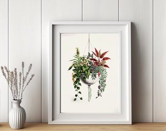 Hanging Plant Botanical Wall Art/Ivy Plant In Hanging Basket For Canvas Or Poster Framing