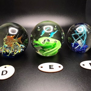 An Aquarium in Glass Paperweights