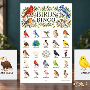 Pode incluir: Um conjunto de jogo de bingo de aves com um cartão retangular grande com o título Birds Bingo, ilustrado com várias espécies de aves e um espaço livre central. Dois cartões menores mostram uma águia-careca e um canário amarelo.