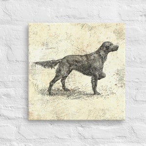 Puede incluir: Una ilustración en blanco y negro de un perro de pie en un campo. El perro es un perro de muestra con patas largas y una cola larga. La ilustración está sobre un fondo texturizado.