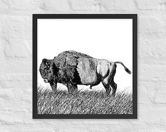 American Buffalo Ink Drawing Art Framed Poster Bison Wildlife Artwork Ink Drawing Artwork Outdoorsment Wall Decor for Rustic Office or House