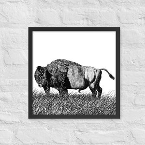 American Buffalo Ink Drawing Art Framed Poster Bison Wildlife Artwork Ink Drawing Artwork Outdoorsment Wall Decor for Rustic Office or House